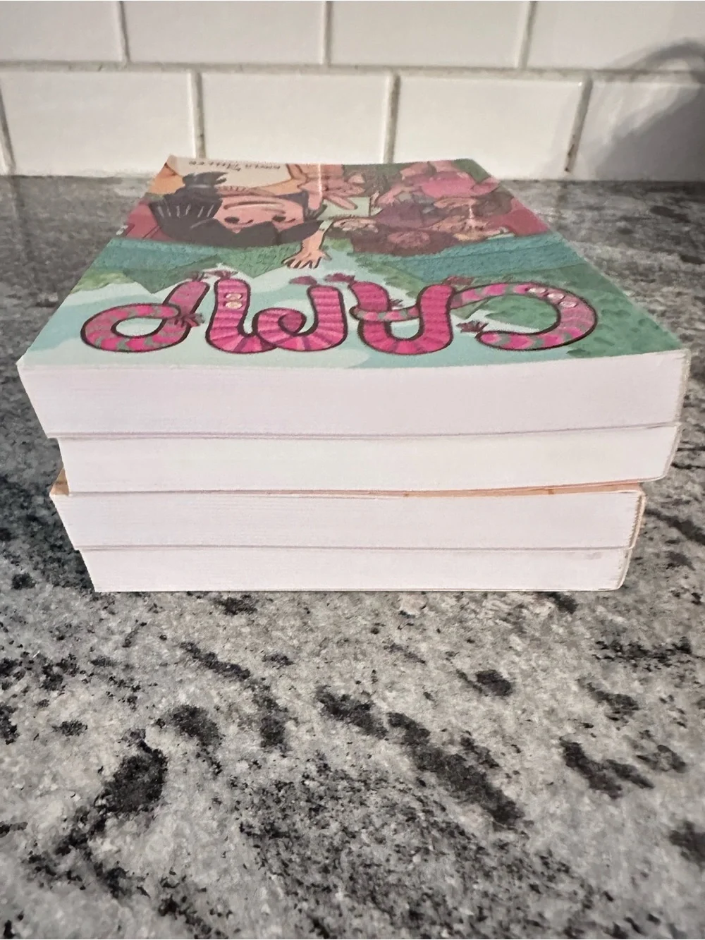 Kayla Miller Middle School Graphic Novel Non Fiction Act, click, Clash, Camp